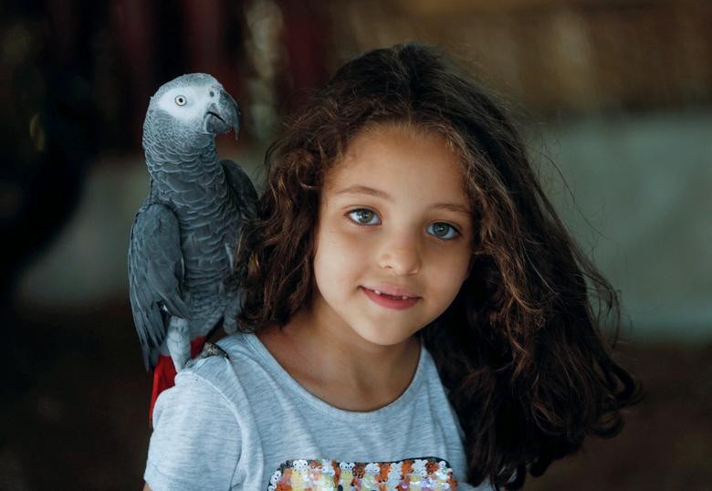 A parrot stands on a girl's shoulder on the first day of reopening the Giza zoo on the outskirts of Cairo, Egypt. REUTERS/Mohamed Abd El Ghany